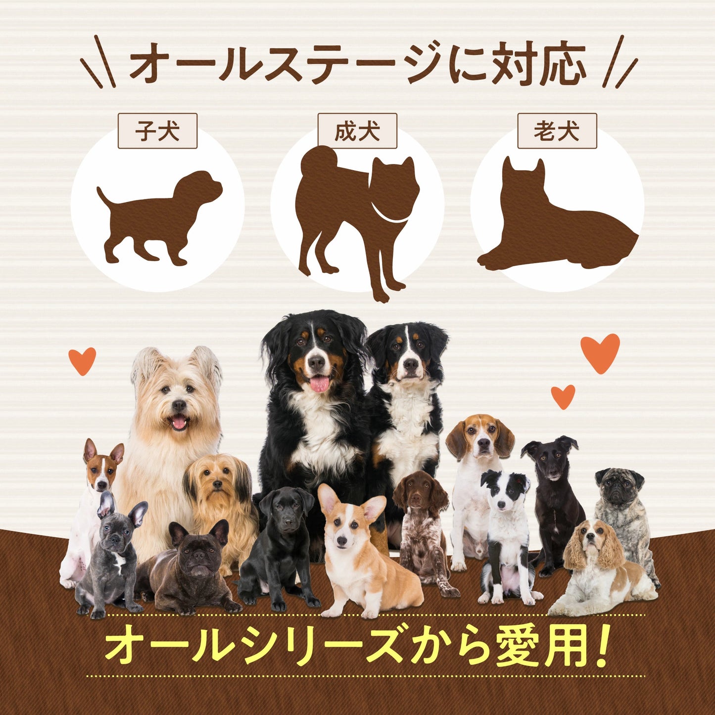 【獣医師監修】寵物 關節強化保健 90粒