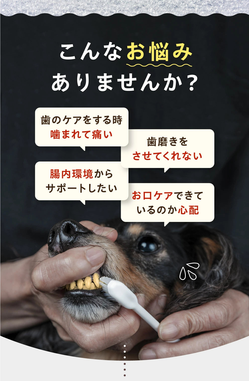 【獣医師監修】寵物 口腔除口氣保健粉末 40g