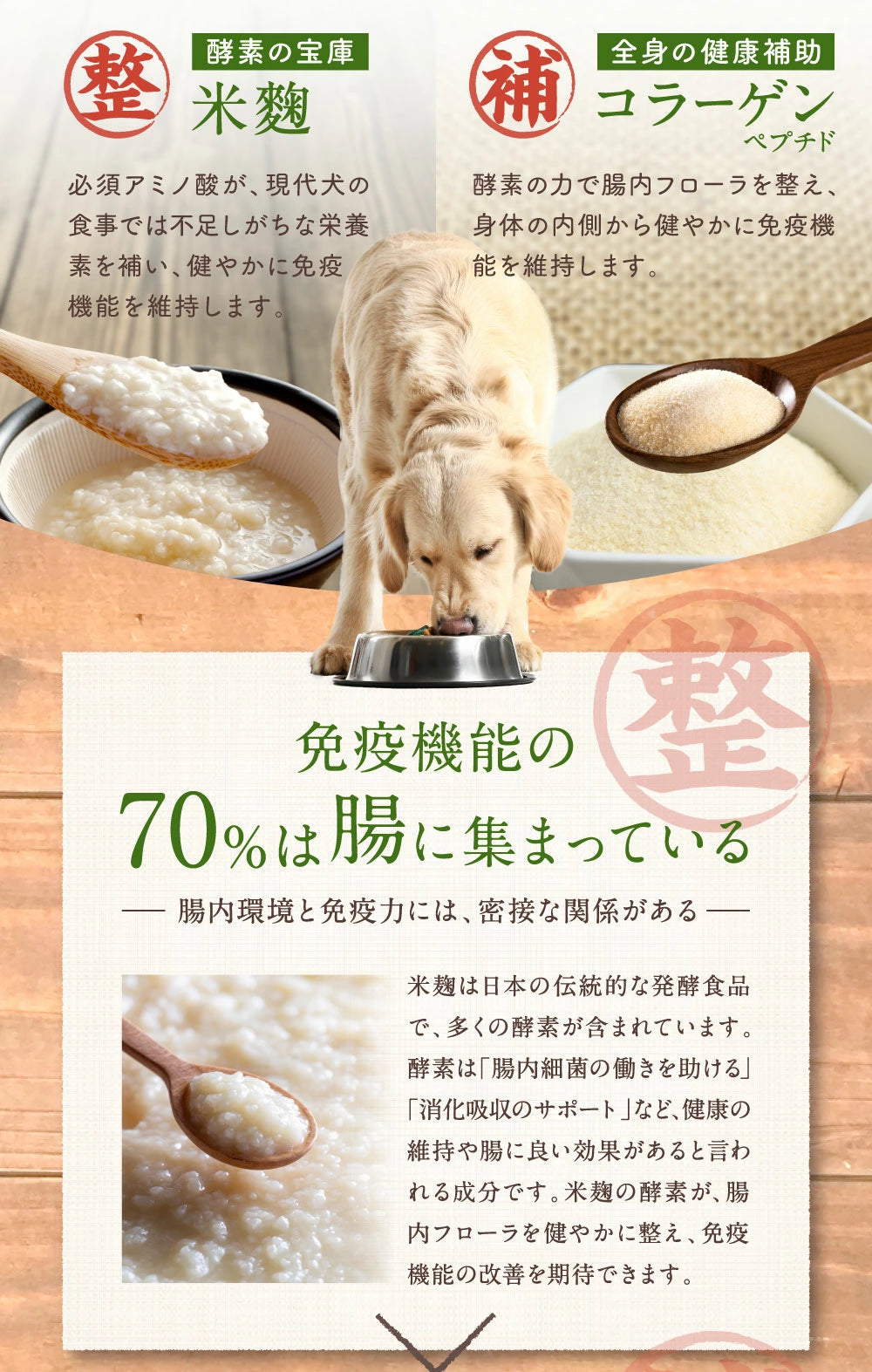 【獣医師監修】寵物 皮膚保健粉末 40g