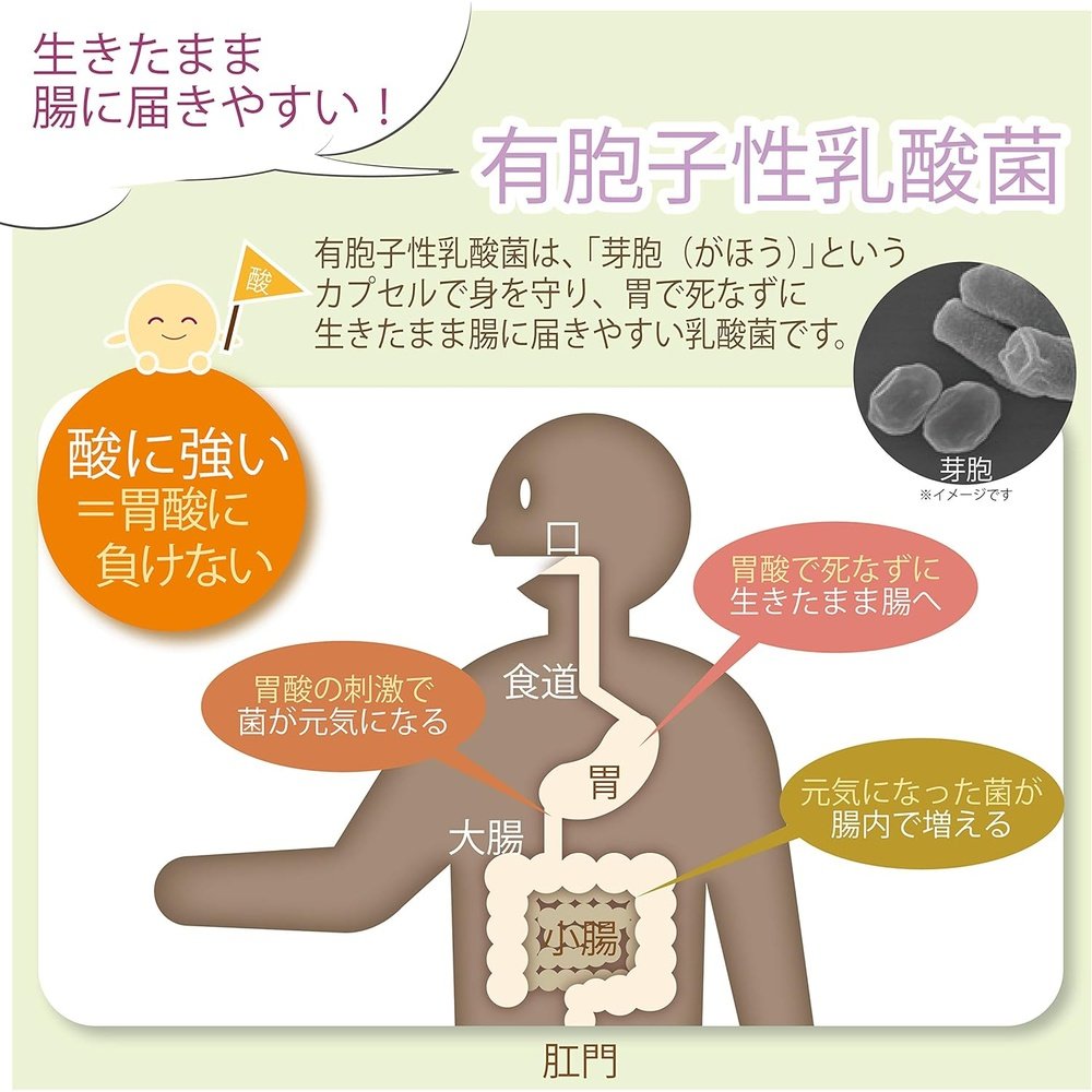 現代製藥 乳酸菌(犬貓用)1kg