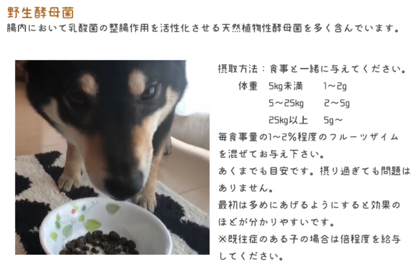 Logospet【無添加】寵物天然水果酵素 補充品100g