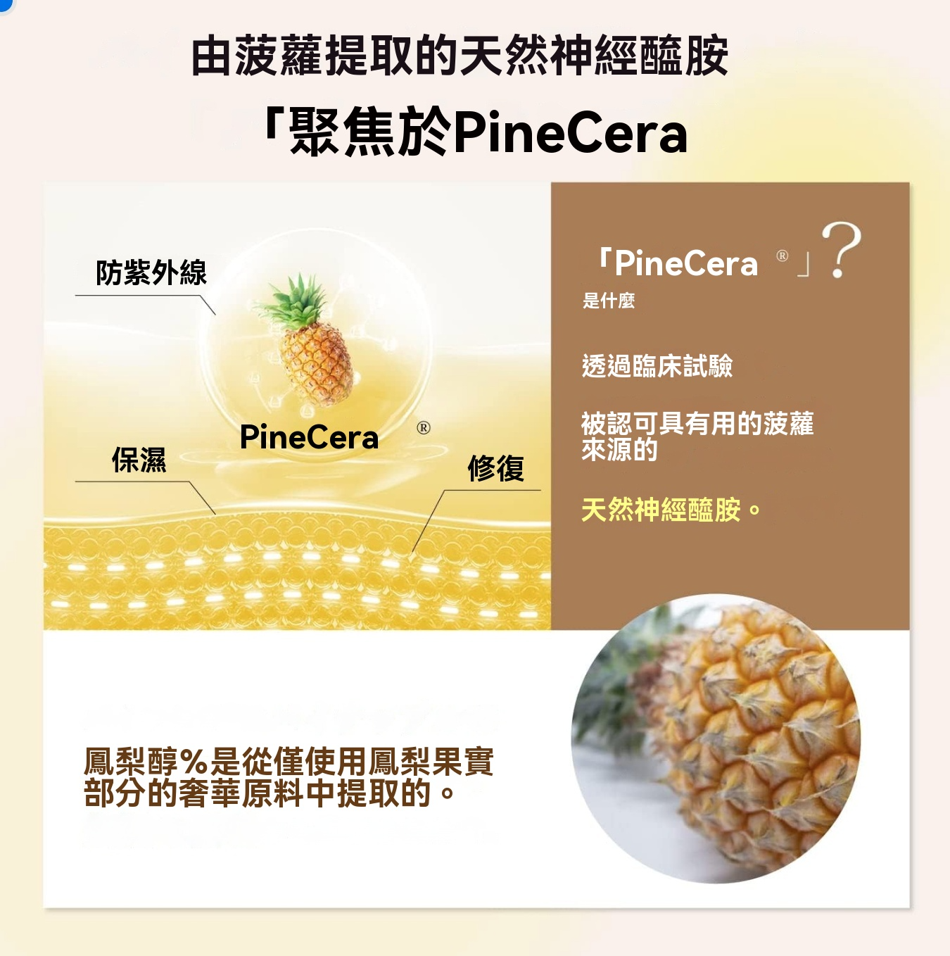 新包裝 Dr.Watanabe Nomumin 鳳梨神經醯胺 1,050mg 30片 加強免疫力