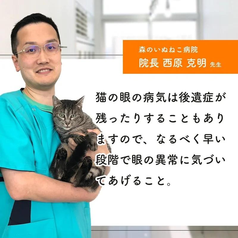 國產無添加 貓眼補充劑「每日愛眼」<鰹魚味片劑,每袋60粒> 7種成分組合 藍莓葉黃素綠蜂膠蝦青素Megusurinoki紫甘藷黑醋栗(貓眼)健康維護)