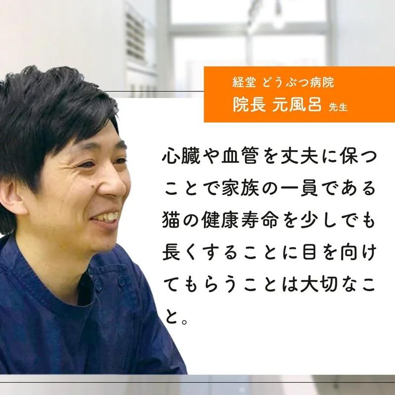 國產,無添加 貓用心臟保健補充劑“貓補充劑/每日劍心”<鰹魚風味片劑,每袋60 片> 7 種成分組合 還原型輔酶Q10 法國沿海松L- 瓜氨酸 L -肉鹼Rumbrux粉芝麻萃取物牛磺酸(維持心臟健康的貓補充劑)