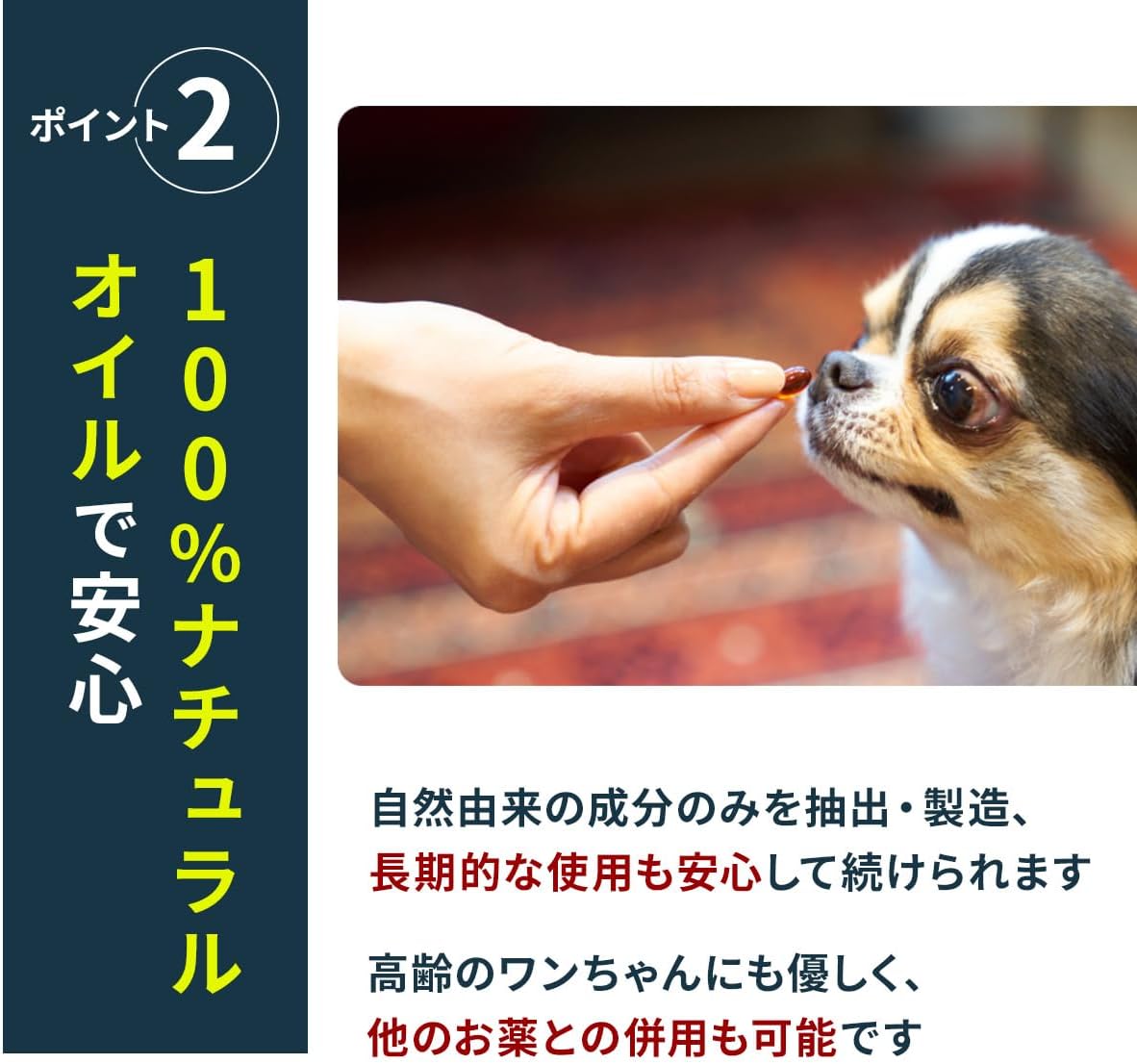 Vetz Petz ANTINOL PLUS 高齡狗 健康保健素 (狗用) (30粒)