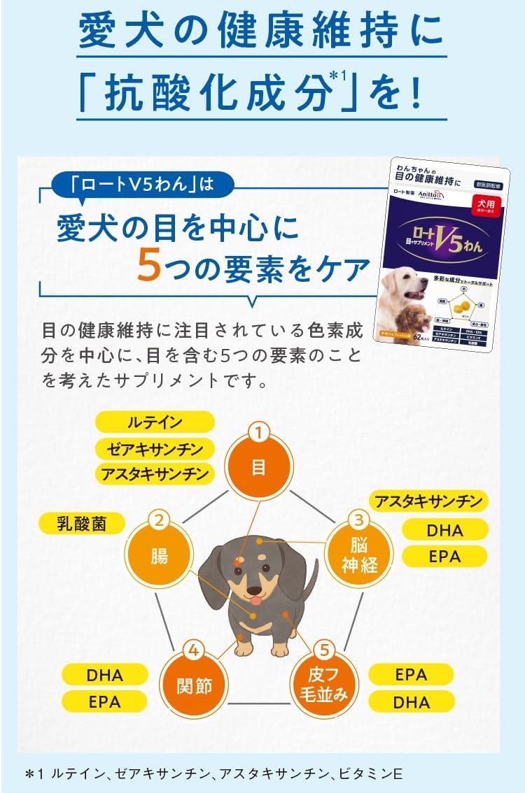 Rhoto 欒敦 V5 狗用 護目素 62粒