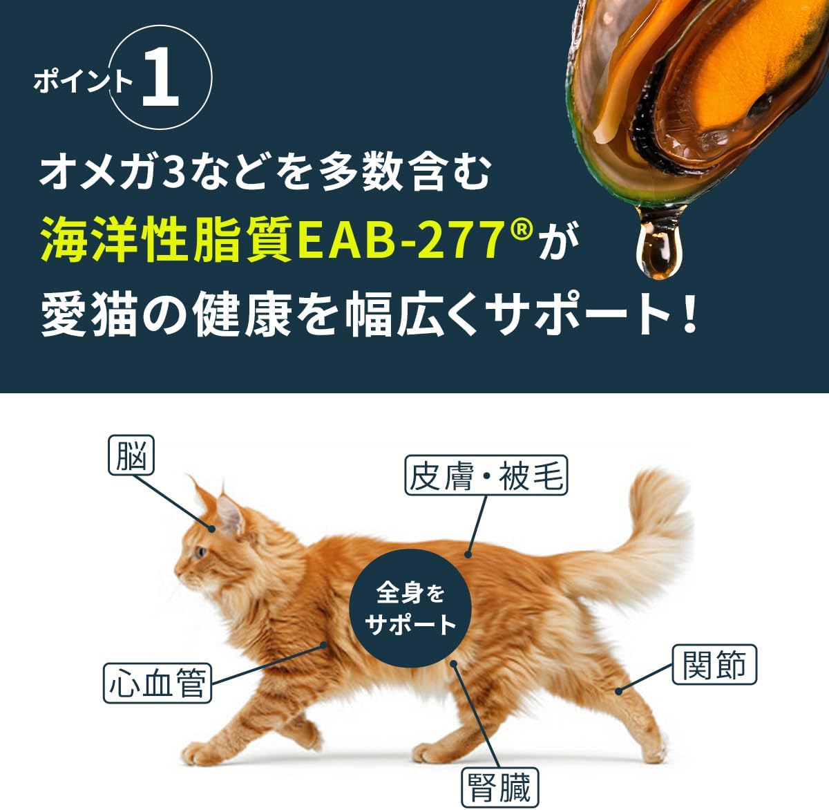Vetz Petz ANTINOL PLUS 高齡貓 健康保健素 (貓用) (30粒)