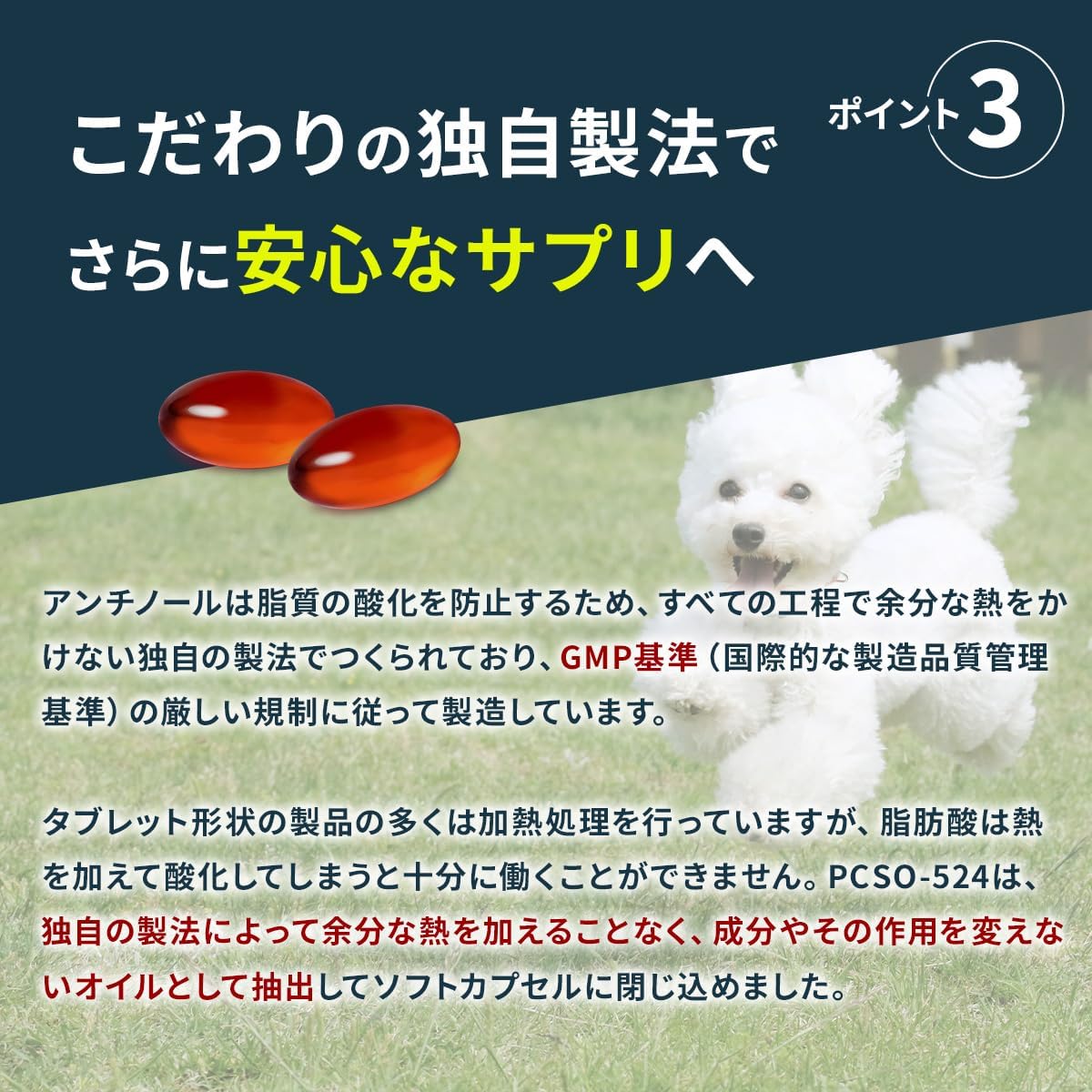 Vetz Petz ANTINOL PLUS 高齡狗 健康保健素 (狗用) (30粒)