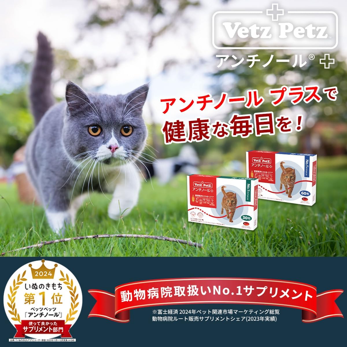 Vetz Petz ANTINOL PLUS 高齡貓 健康保健素 (貓用) (30粒)
