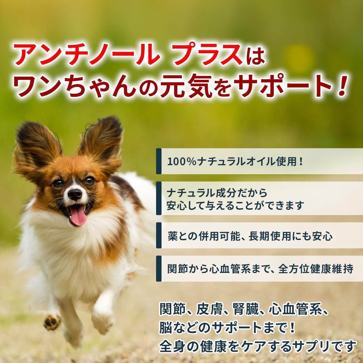 Vetz Petz ANTINOL PLUS 高齡狗 健康保健素 (狗用) (30粒)