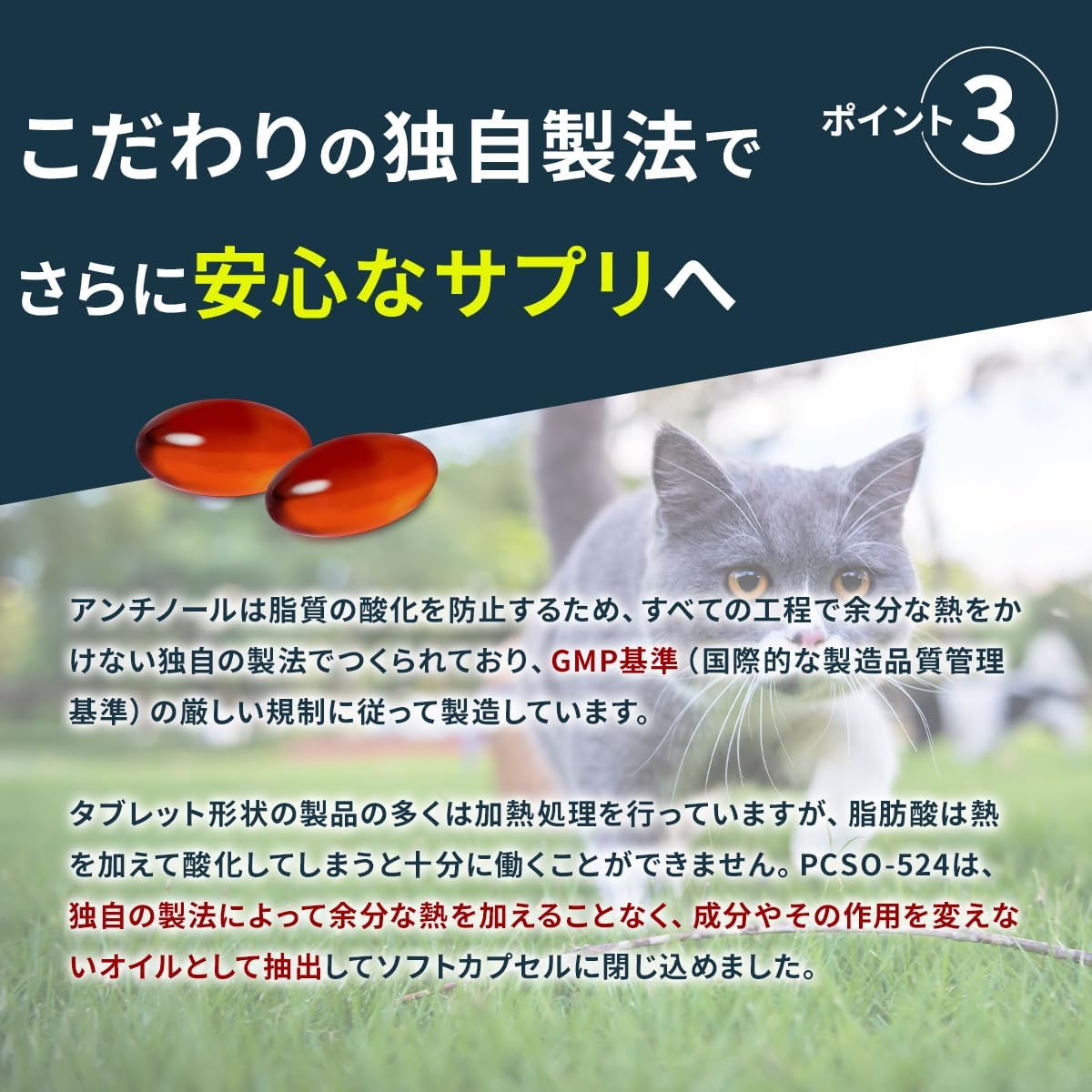 Vetz Petz ANTINOL PLUS 高齡貓 健康保健素 (貓用) (30粒)