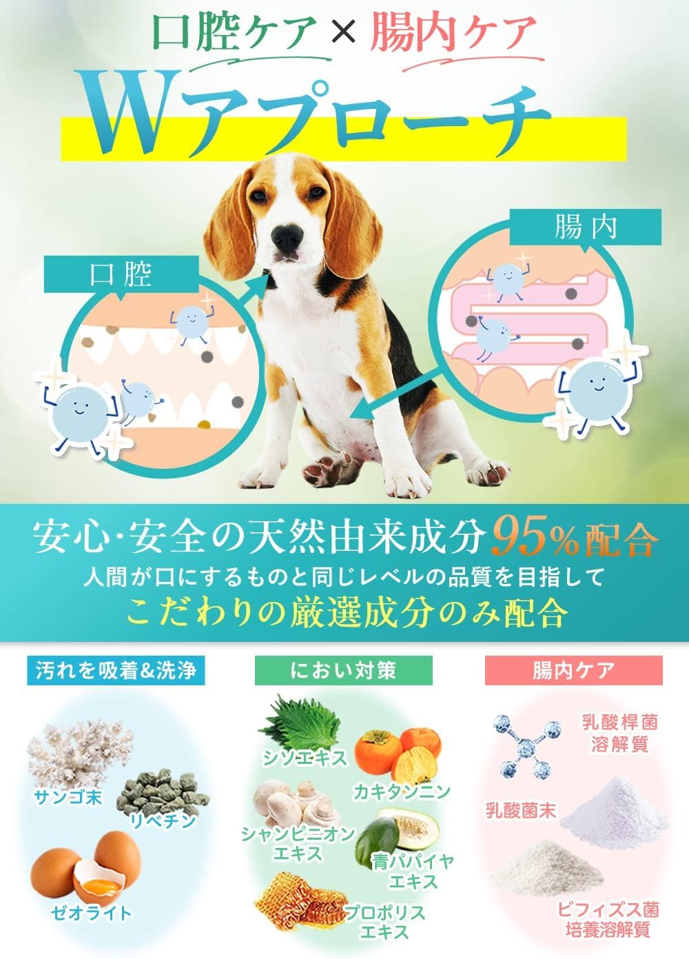 Dr.Wantect 狗用 防牙周病去口臭服液 23g