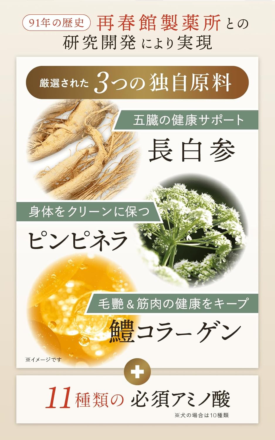 【再春館製薬所】犬猫生活-狗貓專用抗衰老護理泥 1袋30包 (獣医小島麻里監修)