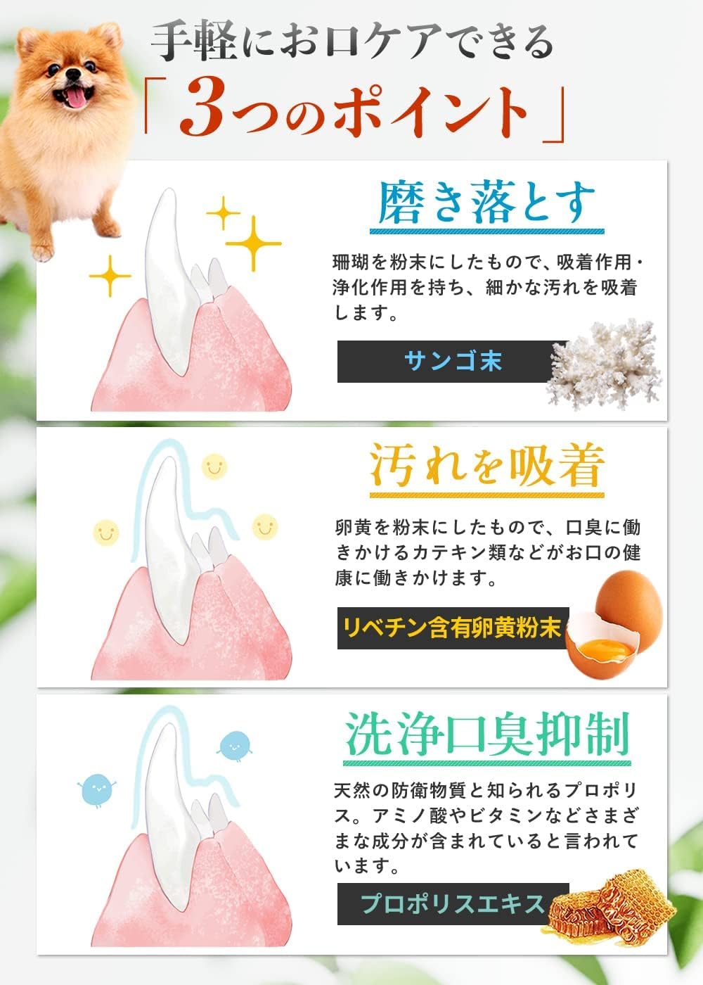Dr.Wantect 狗用 防牙周病去口臭服液 23g