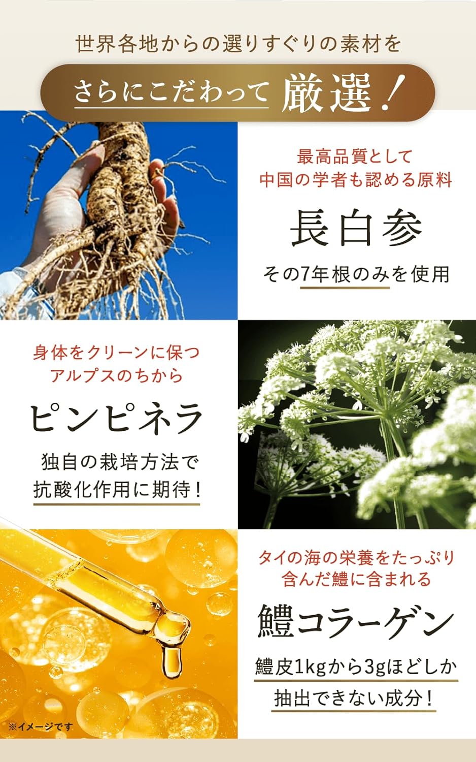 【再春館製薬所】犬猫生活-狗貓專用抗衰老護理泥 1袋30包 (獣医小島麻里監修)