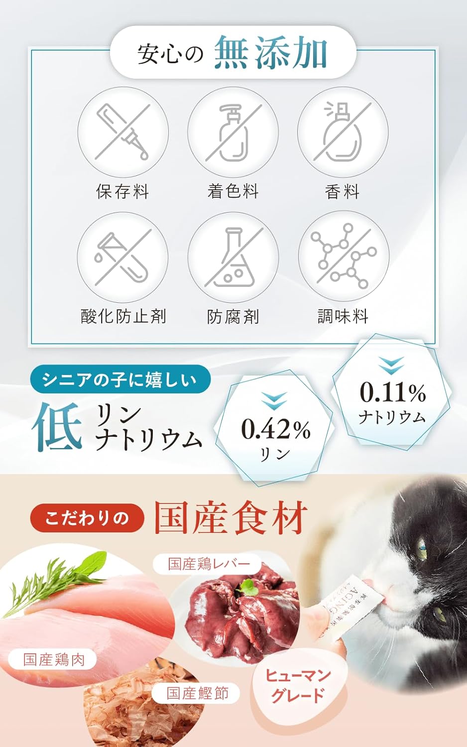 【再春館製薬所】犬猫生活-狗貓專用抗衰老護理泥 1袋30包 (獣医小島麻里監修)