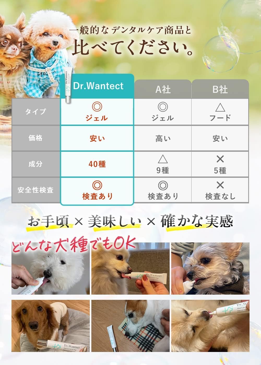 Dr.Wantect 狗用 防牙周病去口臭服液 23g