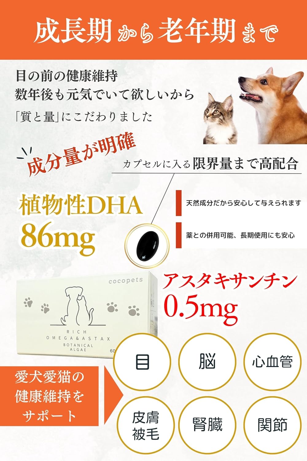 日本製 高品質 貓狗適用保健DHA蝦紅素 60粒 - Marche Tokyo Cat