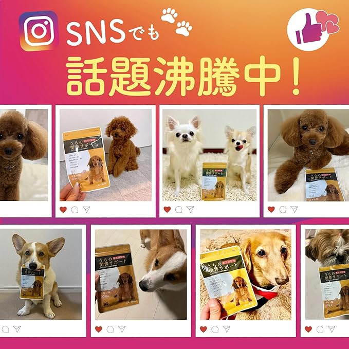 【獣医師監修】寵物 關節強化保健 90粒