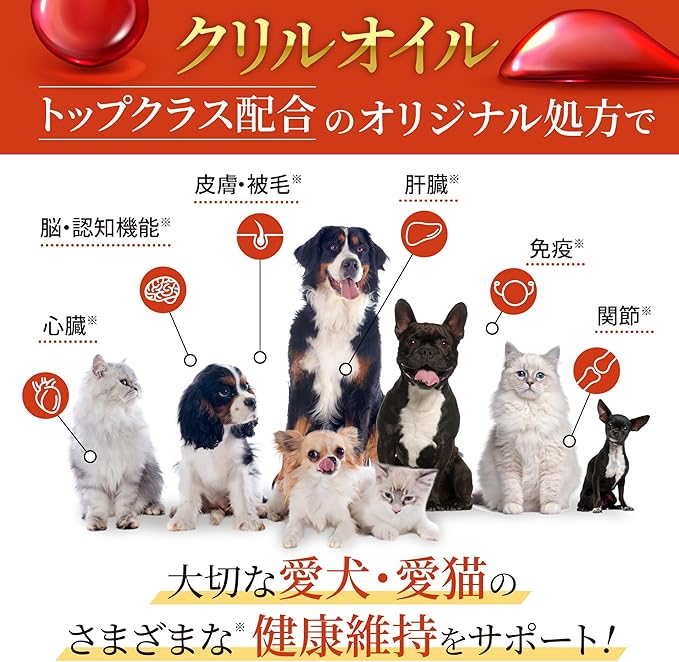 【獣医師監修】寵物 大腦 保健粉末 40g