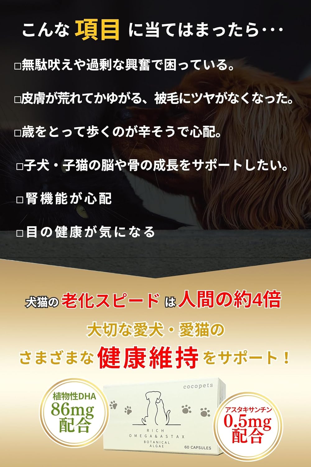 日本製 高品質 貓狗適用保健DHA蝦紅素 60粒 - Marche Tokyo Cat
