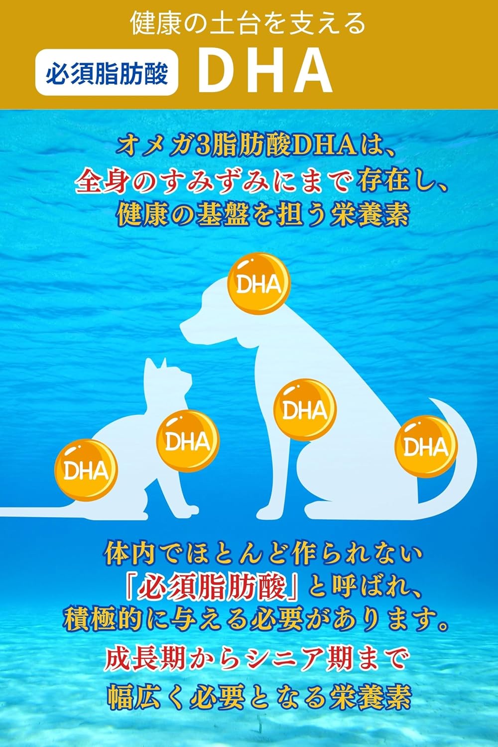 日本製 高品質 貓狗適用保健DHA蝦紅素 60粒 - Marche Tokyo Cat