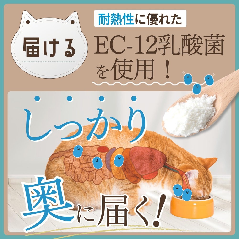 HUGME SHOP Kokona貓乳酸菌酶補充劑 獸醫強烈推薦 腸道環境 腸道活性 外套光澤 外套消化 無添加劑 60g