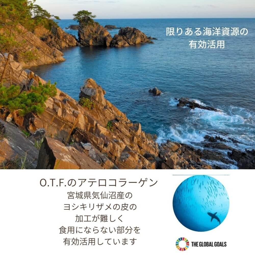O.T.F 保濕精華液 50ml(高級精華液/無香/米發酵液/植物成分) 毛孔、光澤、緊緻(乾性皮膚/混合性皮膚) 職業女性的獎勵
