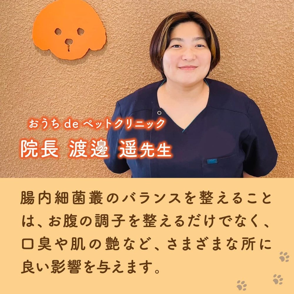 PETLINKMORE 日本製造 乳酸菌寵物補充劑 貓用 30天分)