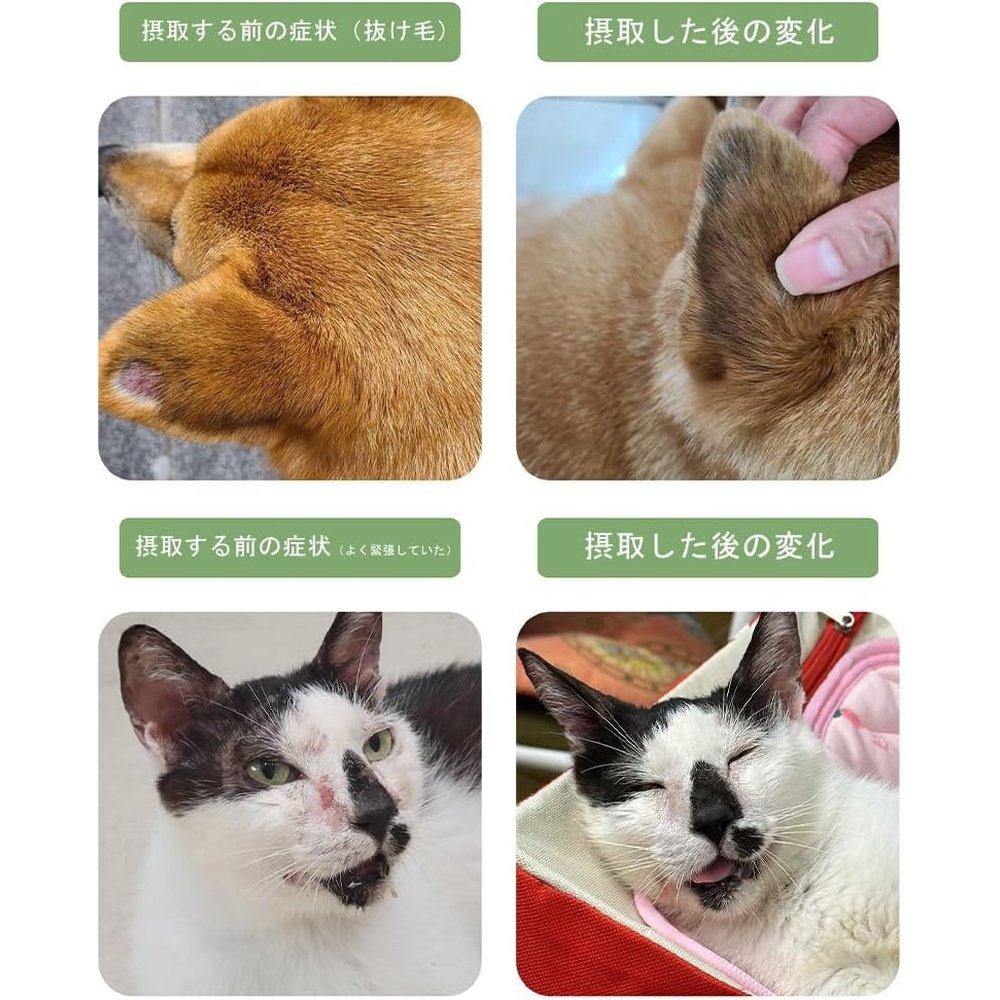 PROUDPET貓狗皮膚保健補充益生菌1粒含100億種免疫好菌,粉末型,獸醫監督,30粒