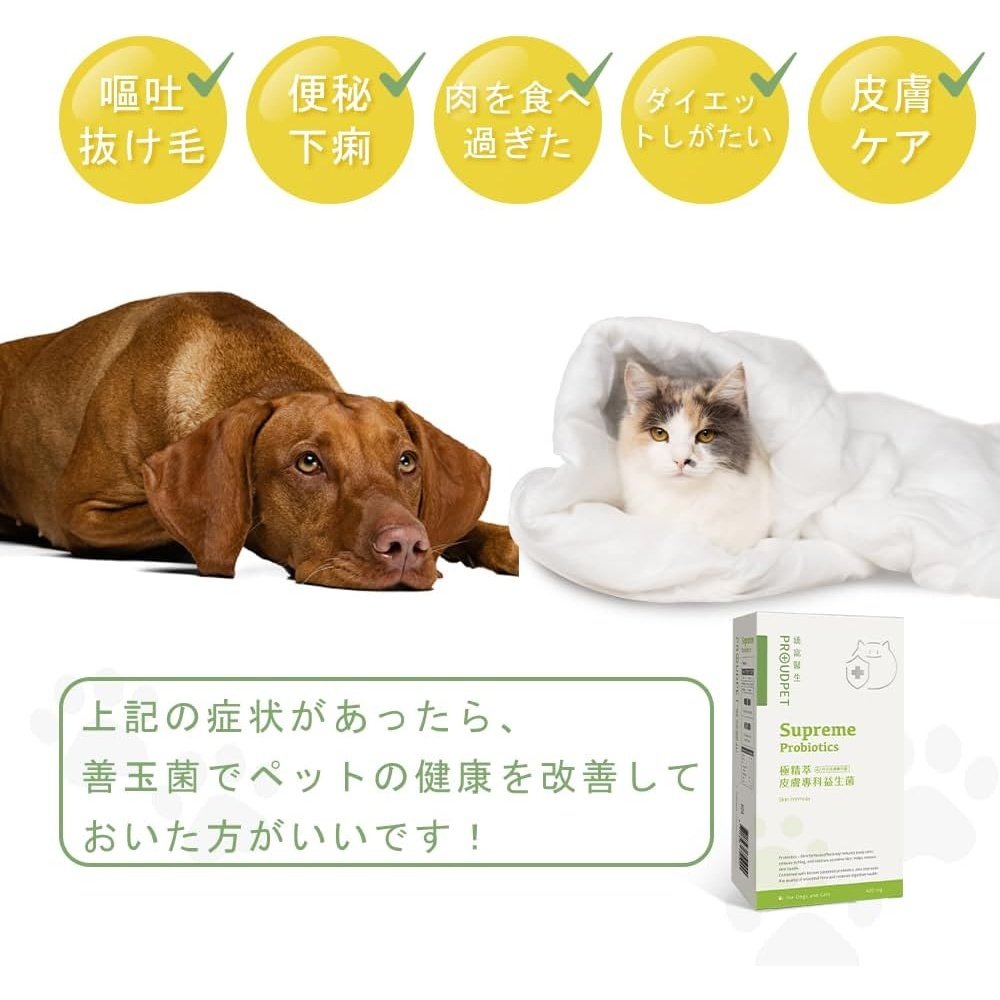 PROUDPET貓狗皮膚保健補充益生菌1粒含100億種免疫好菌,粉末型,獸醫監督,30粒