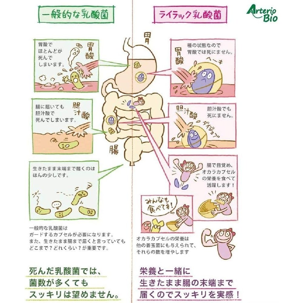 PS 狗貓丁香乳酸菌標準品(60g) | 適用於腹瀉、便秘的狗狗,以及腹瀉的成年貓。