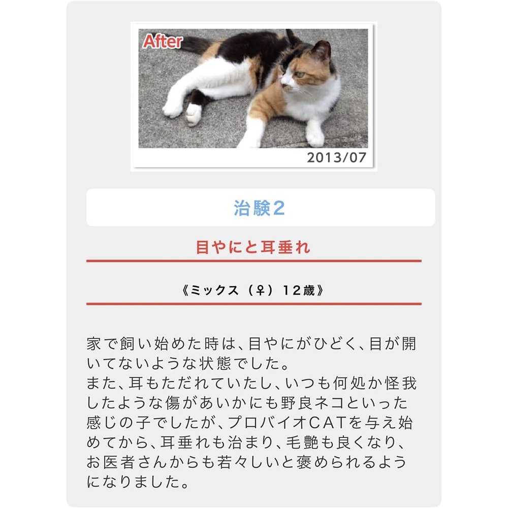 用於貓眼斑、皮膚病、過敏和腎臟支持。 Probio CAT Bonito(粉末45克)約1個月至45天