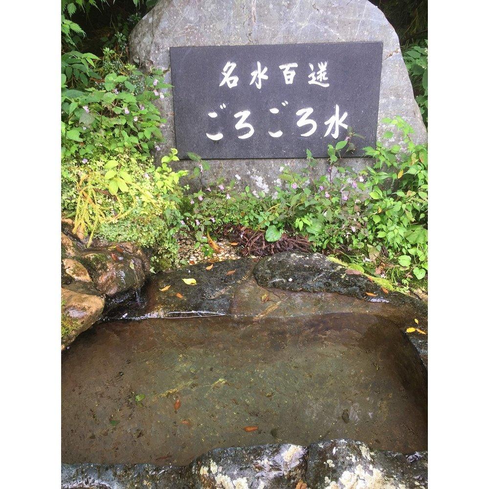 Yamato 美容精華露 Gogoro 水,80mL,含天然保濕美容成分,柿葉,無香料,無色素,不含礦物油,不含對羥基苯甲酸酯