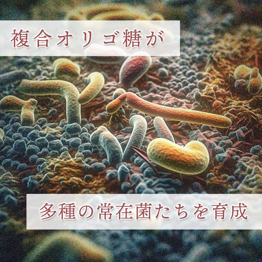 犬貓腸道調節補充劑「三重低聚+酵母菌」-改善腸道環境預防便秘、稀便的益生元