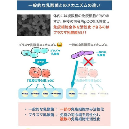 FANCL 1000億乳酸菌 免疫加強 30粒