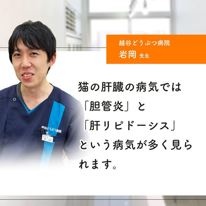 國產無添加 貓用肝臟保健補充劑「貓補充劑/每日肝臟」<鰹魚味片劑，每袋60片> 含有8種成分 肝臟水解物，胎盤，酵母，支鏈氨基酸，薑黃，水飛薊萃取物，鋅、鳥氨酸（貓護肝護肝補充劑）