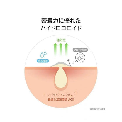 FATION 日本官方 Nosca9 現貨補丁（23 枚，2 套）