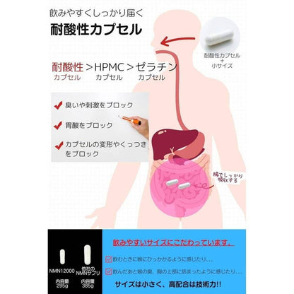 NMN 12000mg（2片400mg） 補充 日本製造 高純度 99.9% GMP認證工廠 白藜蘆醇 阿魏酸 耐酸膠囊 營養功能食品