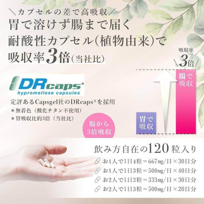 日本製造 β-NMN補充劑20,000mg（166.7mg x 120片） 10種美容成分 高配方 直達腸道 耐酸膠囊（植物性，不含氧化鈦） 進行人體臨床試驗 國內GMP認證工廠 純度99.9% 優質NMN 20000