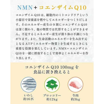 NMN 補充劑 7500 毫克輔酶 3000 毫克日本製造 30 天 Dr.Noble