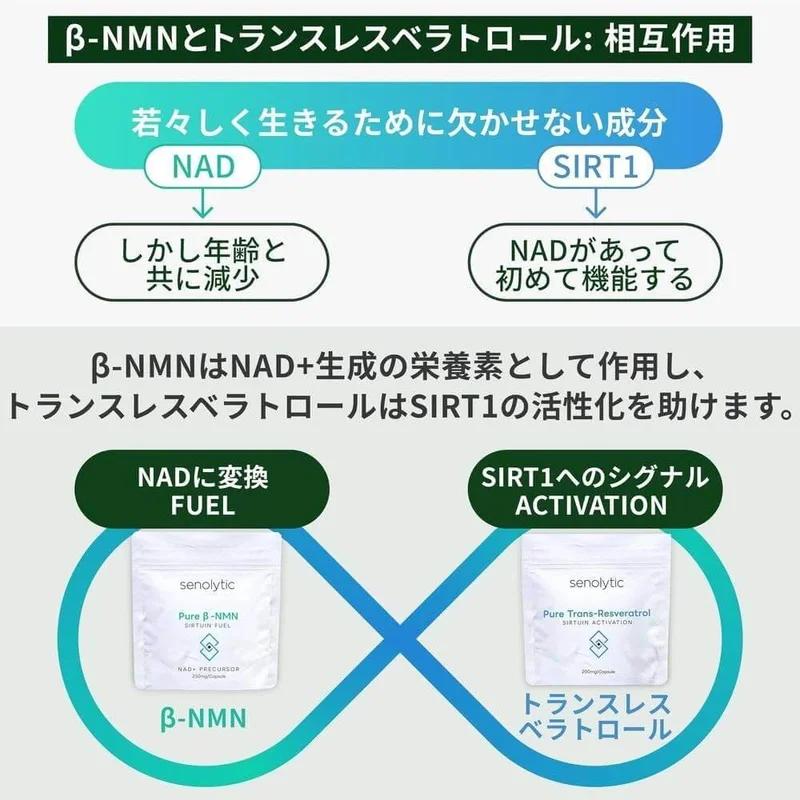 NMN 雙效下一代 NMN 白藜蘆醇配方 7500+6000mg 日本製造最高純度 99% 或更高國內 GMP 認證工廠耐酸 60 片 Senolytic 實驗室補充劑