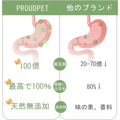 PROUDPET 貓腎保健補充益生菌 1粒含100億好菌 腎臟護理 適合所有年齡段 胃腸道免疫力 減壓支持 粉末型 由獸醫監督 試用裝 10 片