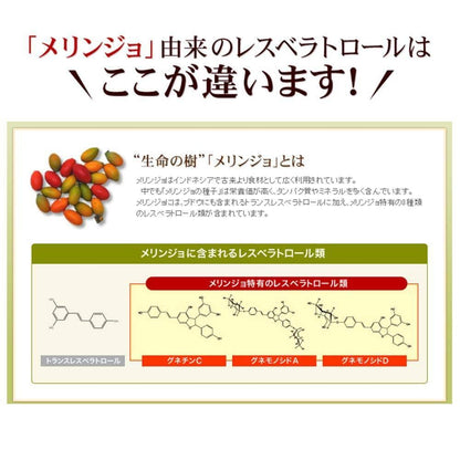 山田養蜂場 白藜蘆醇 Plus 62粒袋入