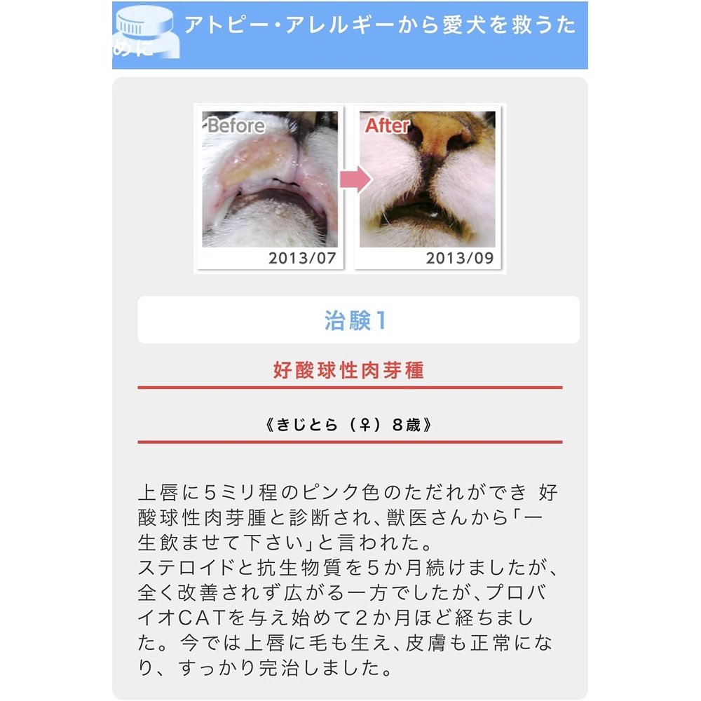 用於貓眼斑、皮膚病、過敏和腎臟支持。 Probio CAT Bonito（粉末45克）約1個月至45天