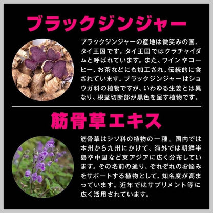 URECI Dios Source 90 片薯蕷皂苷元補充劑山藥萃取物黑薑肌草萃取物 HMBCa 日本製造約 1 個月的用量