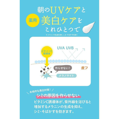 石澤研究所 UV Forecast 非化學藥用美白 UV 霜 40g