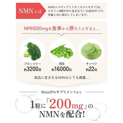 Winsup NMN補充劑18000mg（每片200mg）日本製造高純度90粒耐酸膠囊酵母發酵國內GMP認證廠Winsup