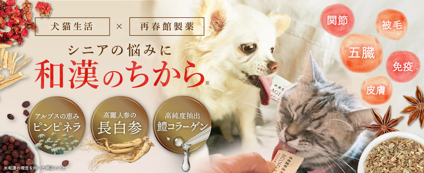 【再春館製薬所】犬猫生活-狗貓專用抗衰老護理泥 1袋30包 (獣医小島麻里監修) - Marche Tokyo Cat